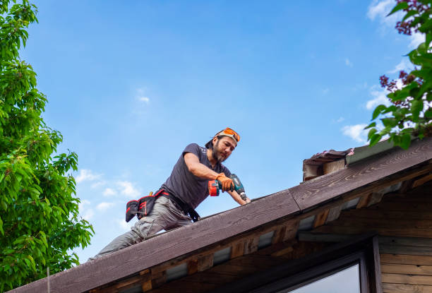 Best Roof Moss and Algae Removal  in Cottage Lake, WA